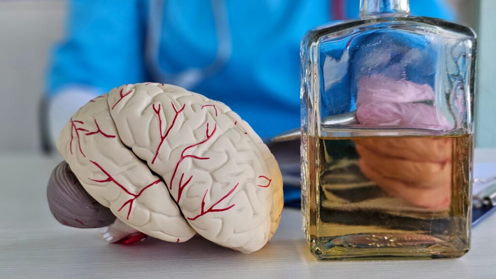 A bottle of liquor next to a brain represents the controversial question of is addiction a disease or a choice.