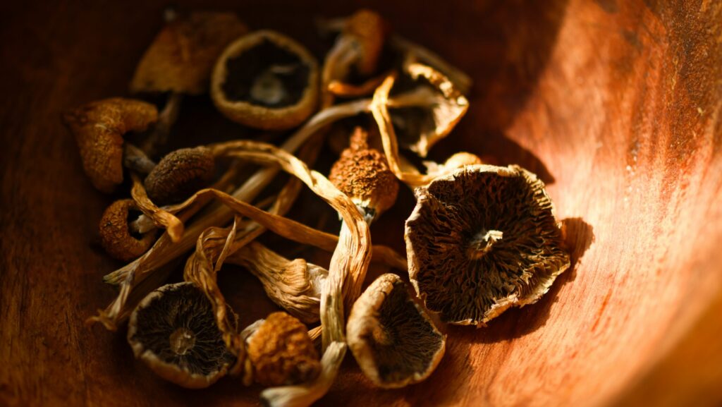 A wooden bowel filled with dried magic mushrooms.