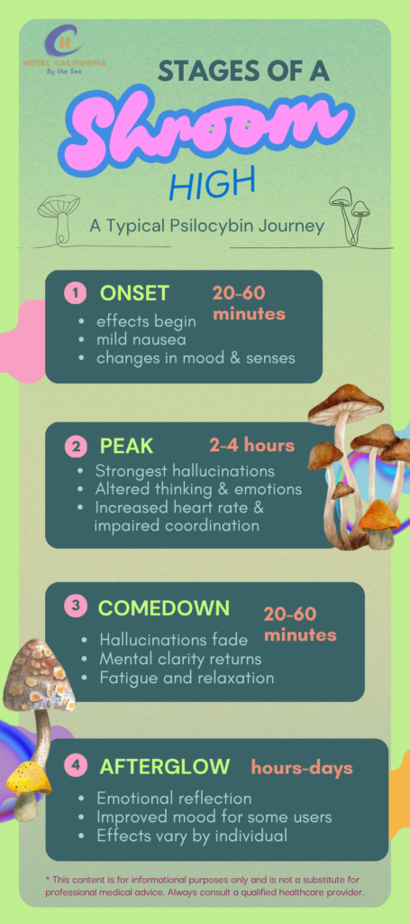 Infograph showing the different stages of a shroom high.